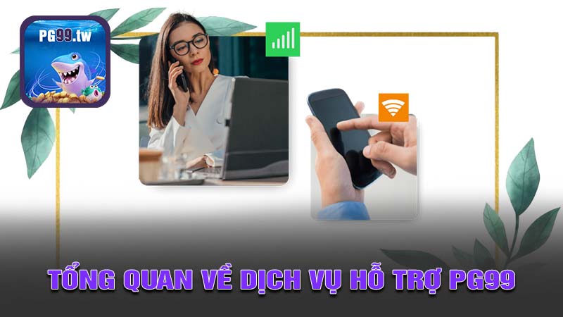 Tổng quan về dịch vụ hỗ trợ PG99